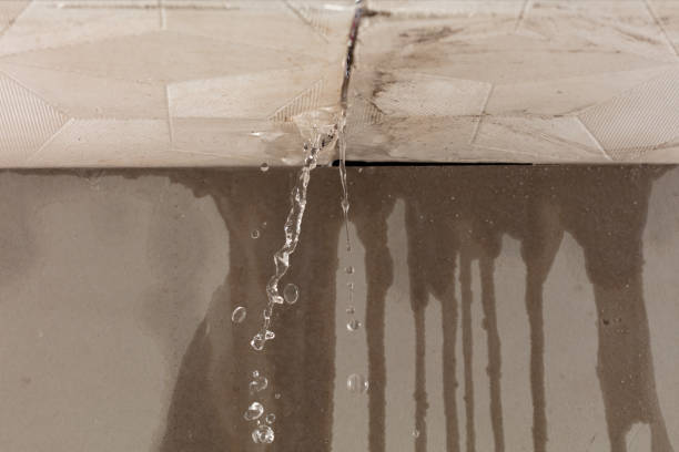 Professional Burst Pipe Cleanup technician working in Flushing, MI
